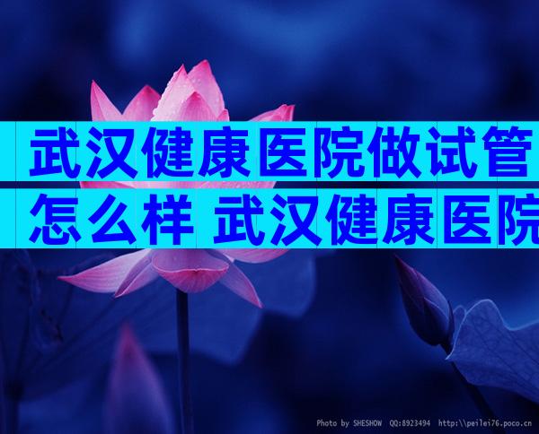 武汉健康医院做试管怎么样 武汉健康医院做试管怎么样呀